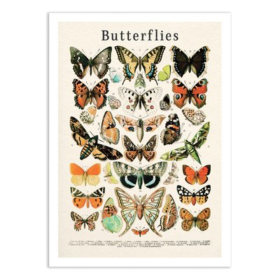Affiche d’art et cadre noir 30 x 40 cm - Butterflies collection - Gal Design WALL EDITIONS