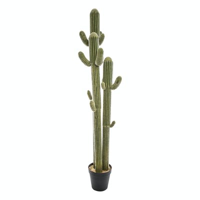 Cactus artificiel en pot 207 cm PIER IMPORT