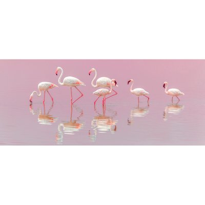 Tirage Sur Aluminium Flamingos 95x40 Cm TIRAGE D'ART CEANOTHE