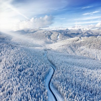Tableau Mural Hivernal HIVERNAL CEANOTHE