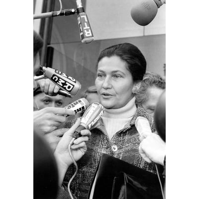 Tableau simone veil en 1976 HEXOA
