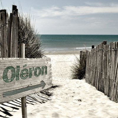 Tableau Mural Oléron PLAGE CEANOTHE