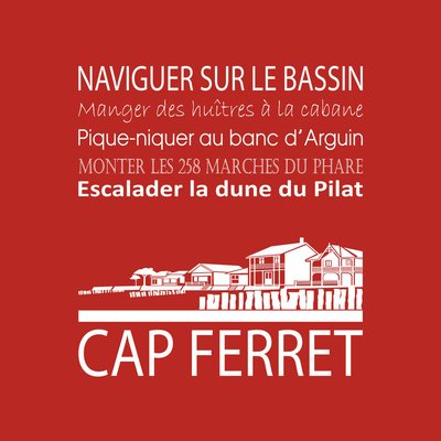 Tableau Sur Toile Cap Ferret ILLUSTRATION CEANOTHE