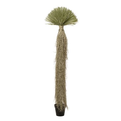 Plante décorative Yucca 240cm KARE DESIGN