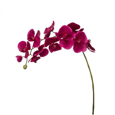 Tige d'orchidée phalaenopsis artificielle H100 SIA DECO