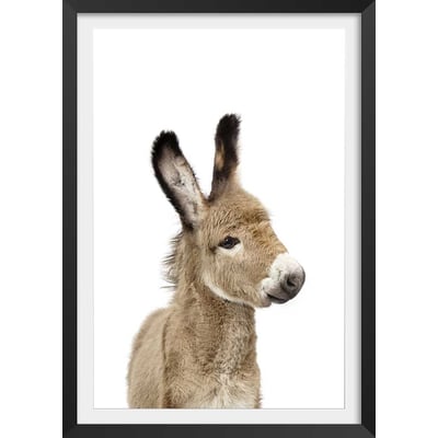 Affiche enfant anon HEXOA