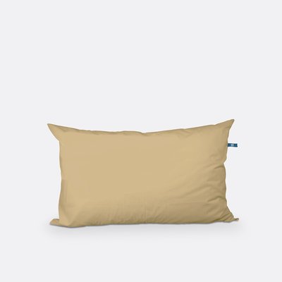Oreiller moelleux Big pillow LA REDOUTE INTERIEURS