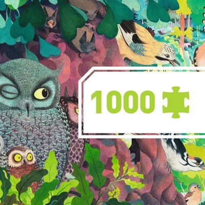Puzzle 1000 pièces Owls and birds Gallery DJECO