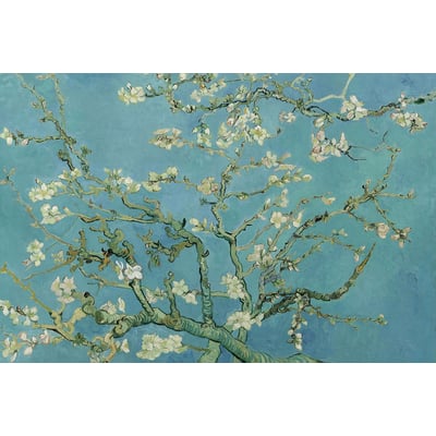 Tableau vincent van gogh HEXOA