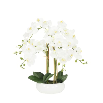 Orchidée artificielle blanche 55cm LIGNE DECO