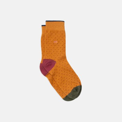 Chaussettes en coton peigné SQUARE BILLYBELT