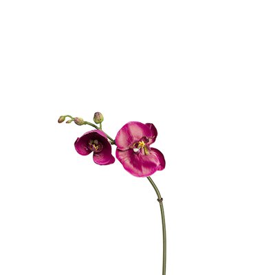Tige d'orchidée phalaenopsis artificielle H26 SIA DECO