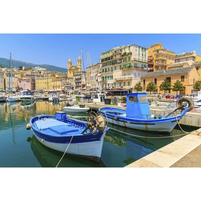 Tableau sur toile Corsica CEANOTHE