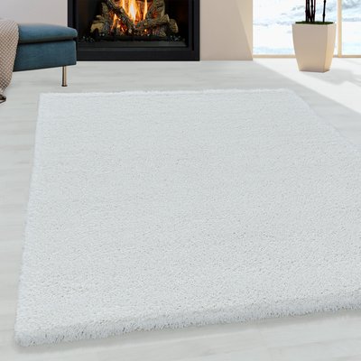 Tapis de salon shaggy  FLUFFY NAZAR RUGS