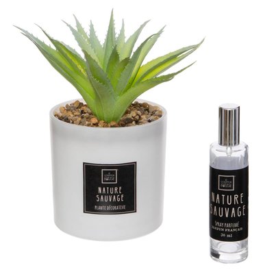 Coffret senteur CACTUS ATMOSPHERA