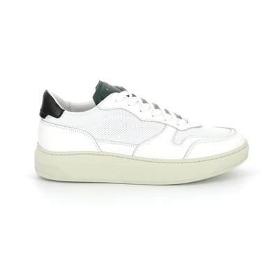 Sneakers basses Cuir CAYMA PIOLA