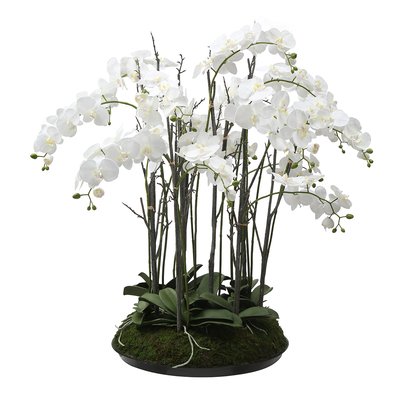 Composition d'orchidée artificielle avec mousse H113 SIA DECO