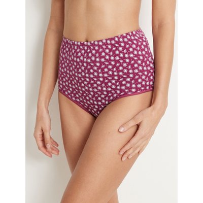Culotte pur coton, lot de 4 DAXON