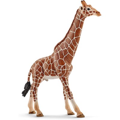 Wild Life Girafe mâle SCHLEICH