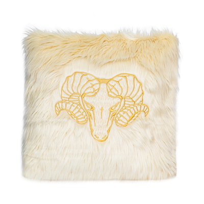 Coussin brodé imitation fourrure MX HOME