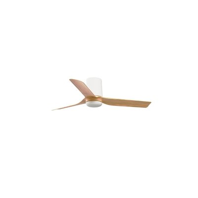 Ventilateur  Plafond  PUNT FARO