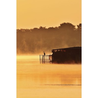 Tableau nature héron sur l'étang blanc HEXOA