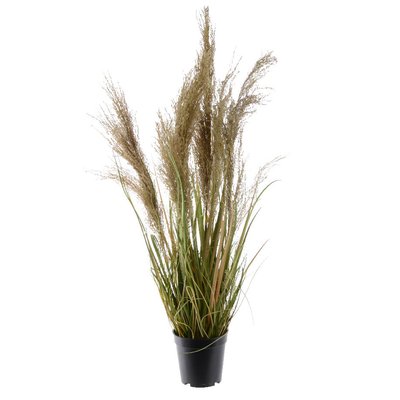 Herbes en pot plumes couleur naturelle H115cm PIER IMPORT