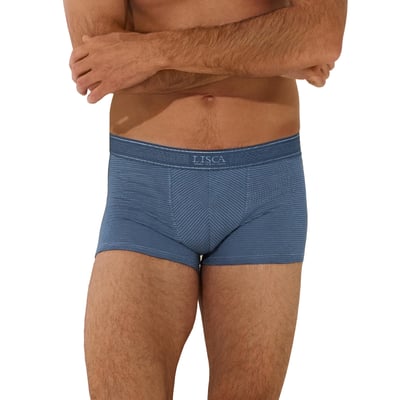 Boxer Zeus LISCA