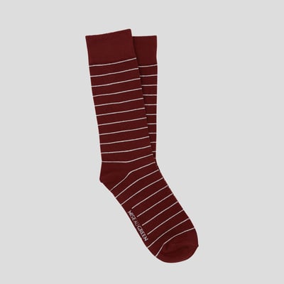 Chaussettes Carter MISE AU GREEN