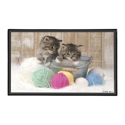 Sous main de bureau décoratif thème CHATONS VIQUEL