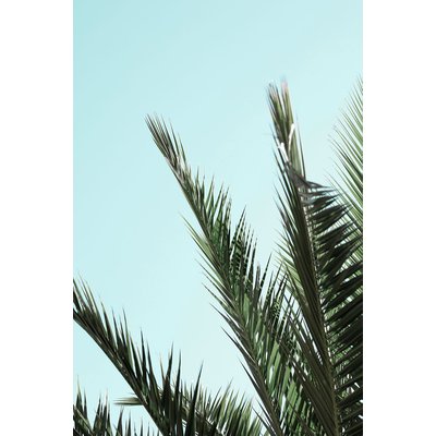 Tableau palme bleue HEXOA