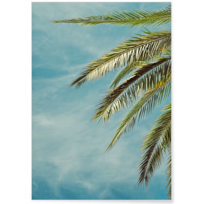 Poster Palm Trees 4 L'AFFICHERIE