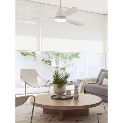 Ventilateur  plafond  WHITEHEAVEN BOUTICA-DESIGN