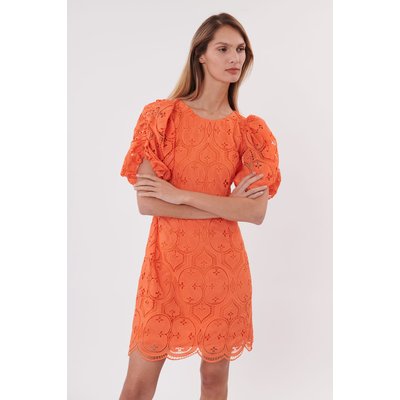 Robe courte droite en dentelle décolleté au dos SACRAMENTO DERHY
