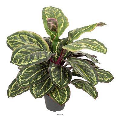 Maranta plante artificielle en pot H 48 cm ARTIFICIELLES