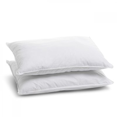 Lot de 2 Oreillers Ferme ALASKA BLEU CALIN