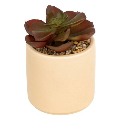 Plante grasse artificielle Nils pot céramique H12cm ATMOSPHERA
