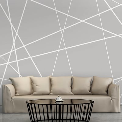 Papier peint intissé panoramique Modern Cobweb EDEN