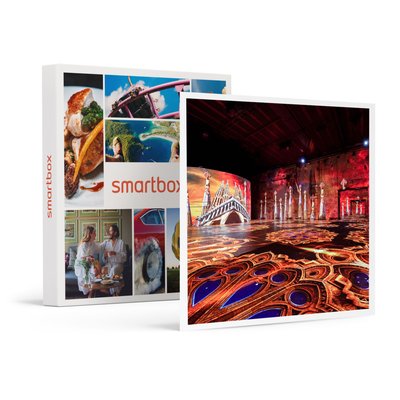Journée à Bordeaux : 1 entrée adulte pour les Bassins des Lumières - SMARTBOX - Coffret Cadeau Sport et Aventure SMARTBOX