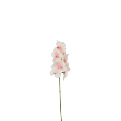 Tige d'orchidée phalaenopsis artificielle H50 SIA DECO