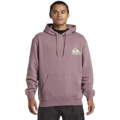 Small Logo Hoodie QUIKSILVER