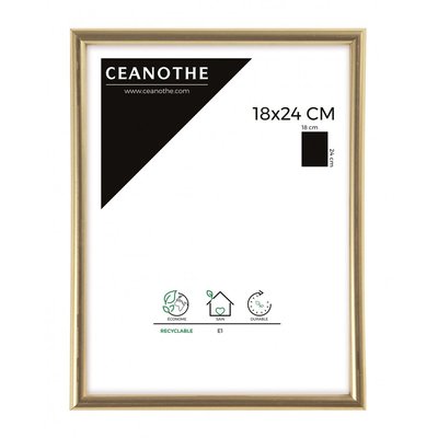 Cadre Photo Expo CEANOTHE