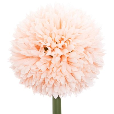 Tige de pompons artificiels ATMOSPHERA
