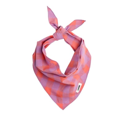 Bandana pour chien, NATA CAFIDE