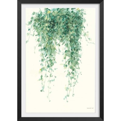 Affiche plante succulente illustrée HEXOA