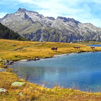 Tableau Sur Toile Lac D'aumar MONTAGNE CEANOTHE
