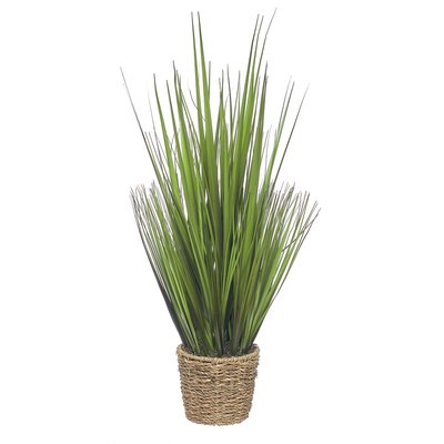 Planta artificial "Onion Grass" 60cm, BORGHESI BORGHESI