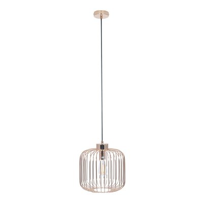 French Gold Metal Wire Cage with Exposed Bulb Pendant Ceiling Light SO'HOME