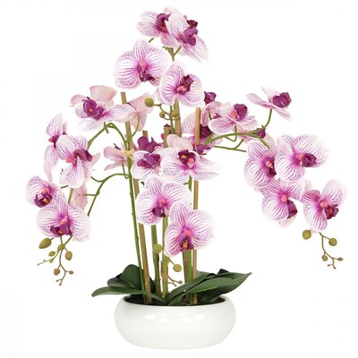 Orchidées artificielles blanche 55cm LIGNE DECO