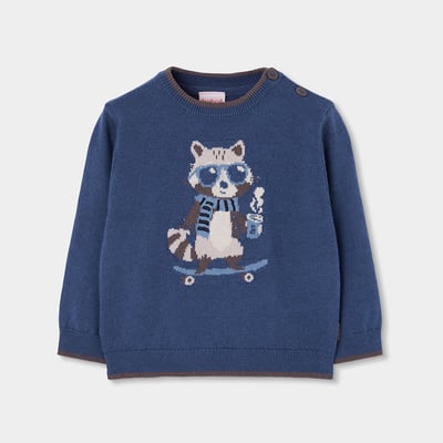Pull garçon imprimé raton laveur skater BOBOLI